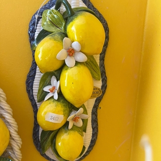30 cm italy limon pano