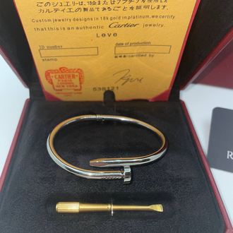 Cartier Çivi Kalın Silver Erkek