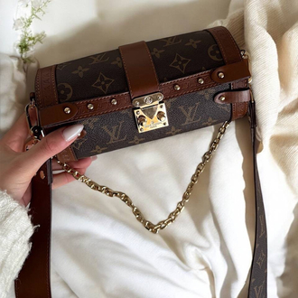 Louis Vuitton Papillon Trunk
