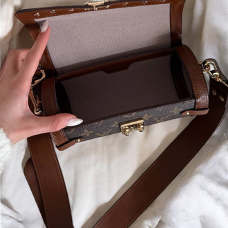 Louis Vuitton Papillon Trunk