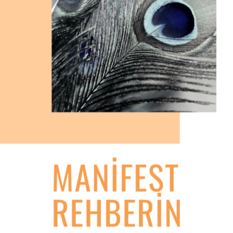 Dijital Manifest Rehberin