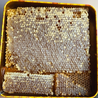 1500gr petek bal