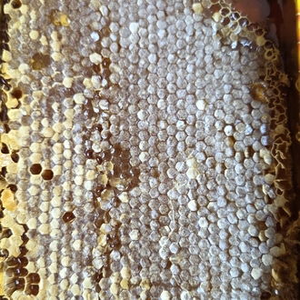 1300gr petek bal