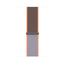Apple Watch Sport Loop Vitamin C Rengi