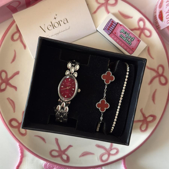 Gümüş bordo coach set