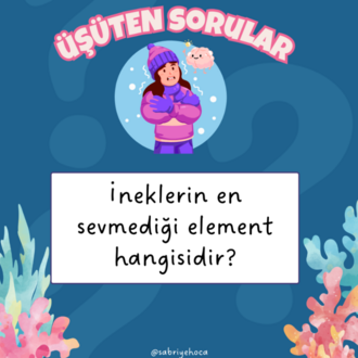 KAFANI KULLAN/ÜŞÜTEN SORULAR