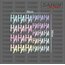 HA HA Hologram Sticker