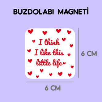 Magnet - Life