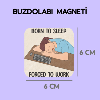 Magnet - born to sleep