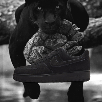 Nike Air Force