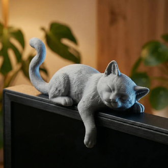 kedi mönitor charm