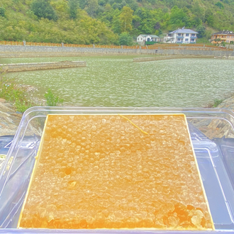 Yayla Petek Balı 500g