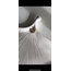 Charming Earcuff