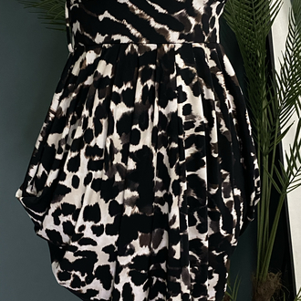 Dorothy Perkins Dress