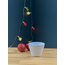 Mini Bowl Set'