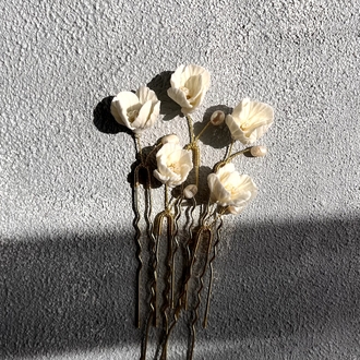 auxo | pin