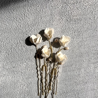 auxo | pin