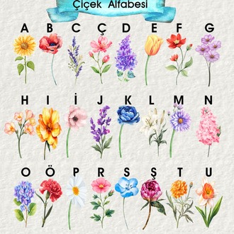 Çiçek Alfabesi İsim Tablosu