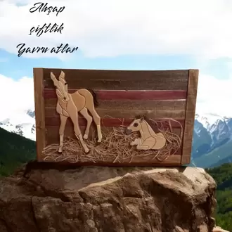 AHŞAP ÇİFTLİK YAVRU TAYLAR