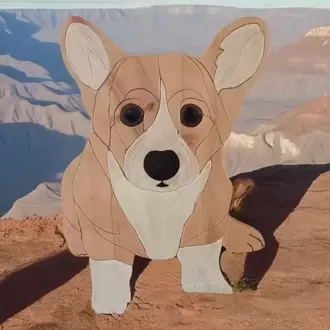 CORGİ  KARAMEL KÖPEK PANO