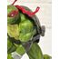 Raphael ( Ninja Kaplumbağalar )
