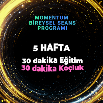 MOMENTUM BİREYSEL SEANS PROGRAMI