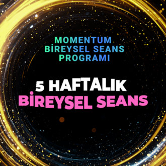 MOMENTUM BİREYSEL SEANS PROGRAMI