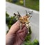 Y2K Metal Butterfly Küçük Toka Gold