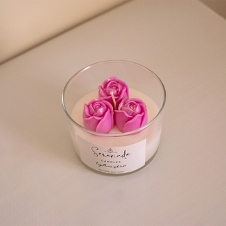 Pink Rose