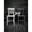 Cat in the chair - 1/10  edition print 