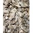 Zencefil tozu 100 gr 