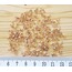 YUVARLAK SIKMA APERESİ 1 MM ALTIN KAPLAMA Ürün Kodu : 25387