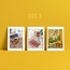 3'lü kartpostal illüstrasyon seti / illustrated postcard set of 3