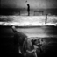 Stray Dog - Limited Edition 