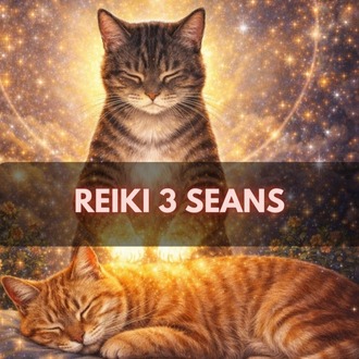Reiki 3 Seans