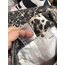 Leopar desen palazzo jean