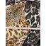 Leopar desen elbise