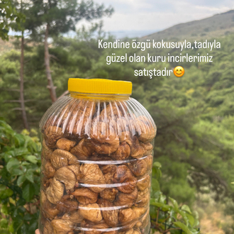 Kuru incir