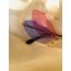 Dragon-fly Pink Blue