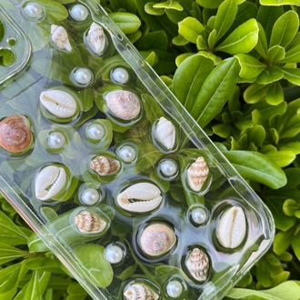 Sea Soul Clear Case