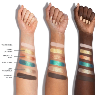 Morphe Eyeshadow Palette Python Code