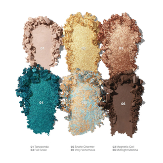 Morphe Eyeshadow Palette Python Code