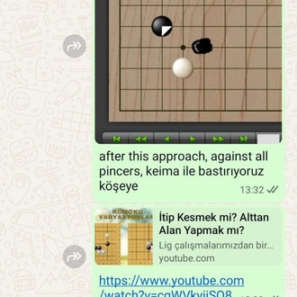 Mesaj Desteği (1 Ay)