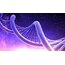 Theta Healing 4 modül Eğitim paketi