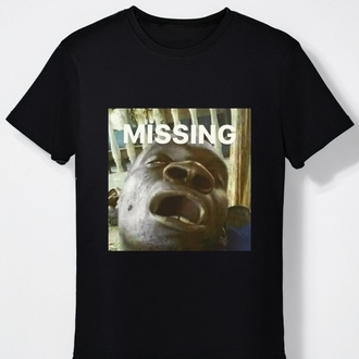 MISSING 