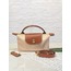 LongChamp Mini