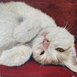 Tuval üzerine yağlı boya kedi portresi 