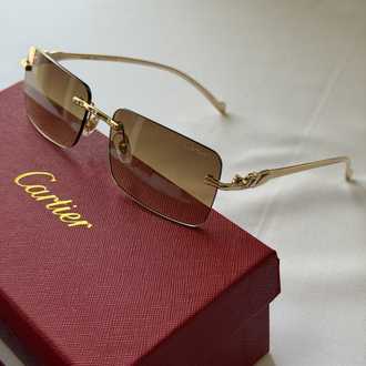 Cartier Gözlük