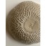 Shell Ceramic Vase
