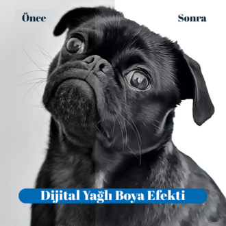 Kişiye Özel Evcil Hayvan iPhone Kılıf